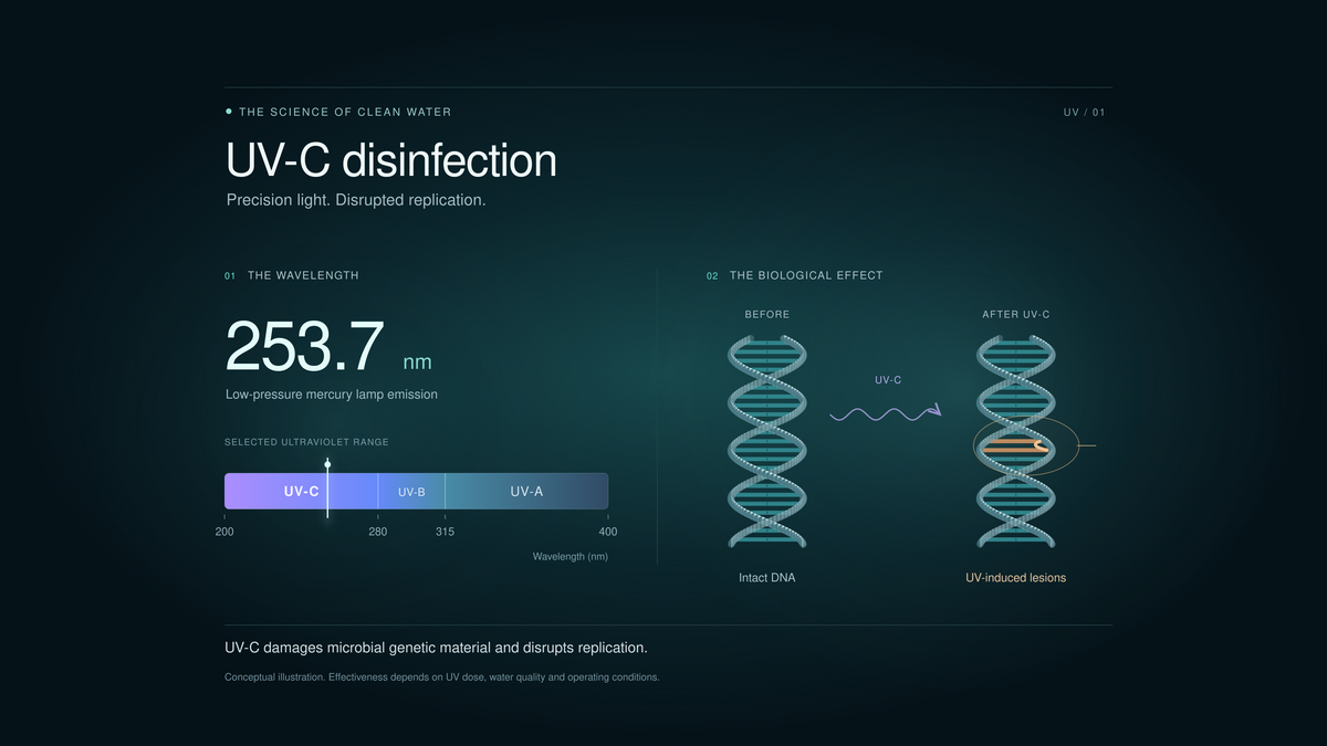Wide conceptual UV-C disinfection diagram; effectiveness depends on dose, water quality and operating conditions